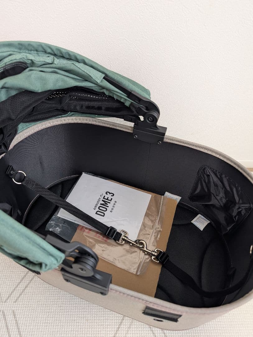 エアバギー　ドーム3　クローバー　レギュラーサイズ　カスタムカラー