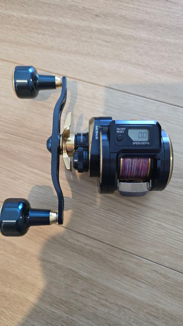 ダイワ Daiwa SALTIGA IC 100PL-DH