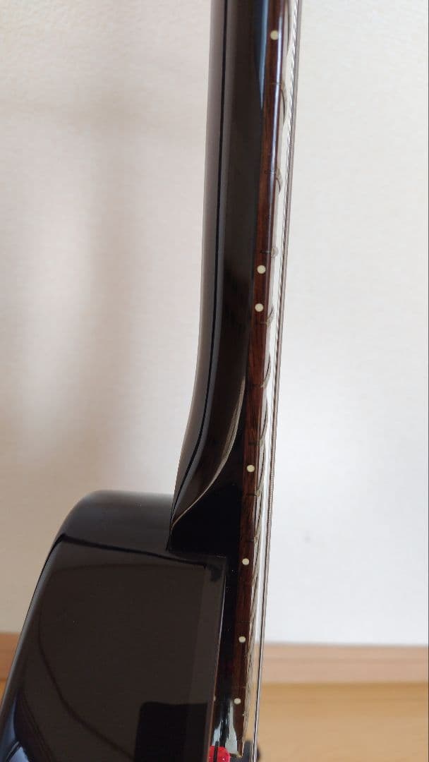 FERNANDES DIGI-ZO HYPER スカル