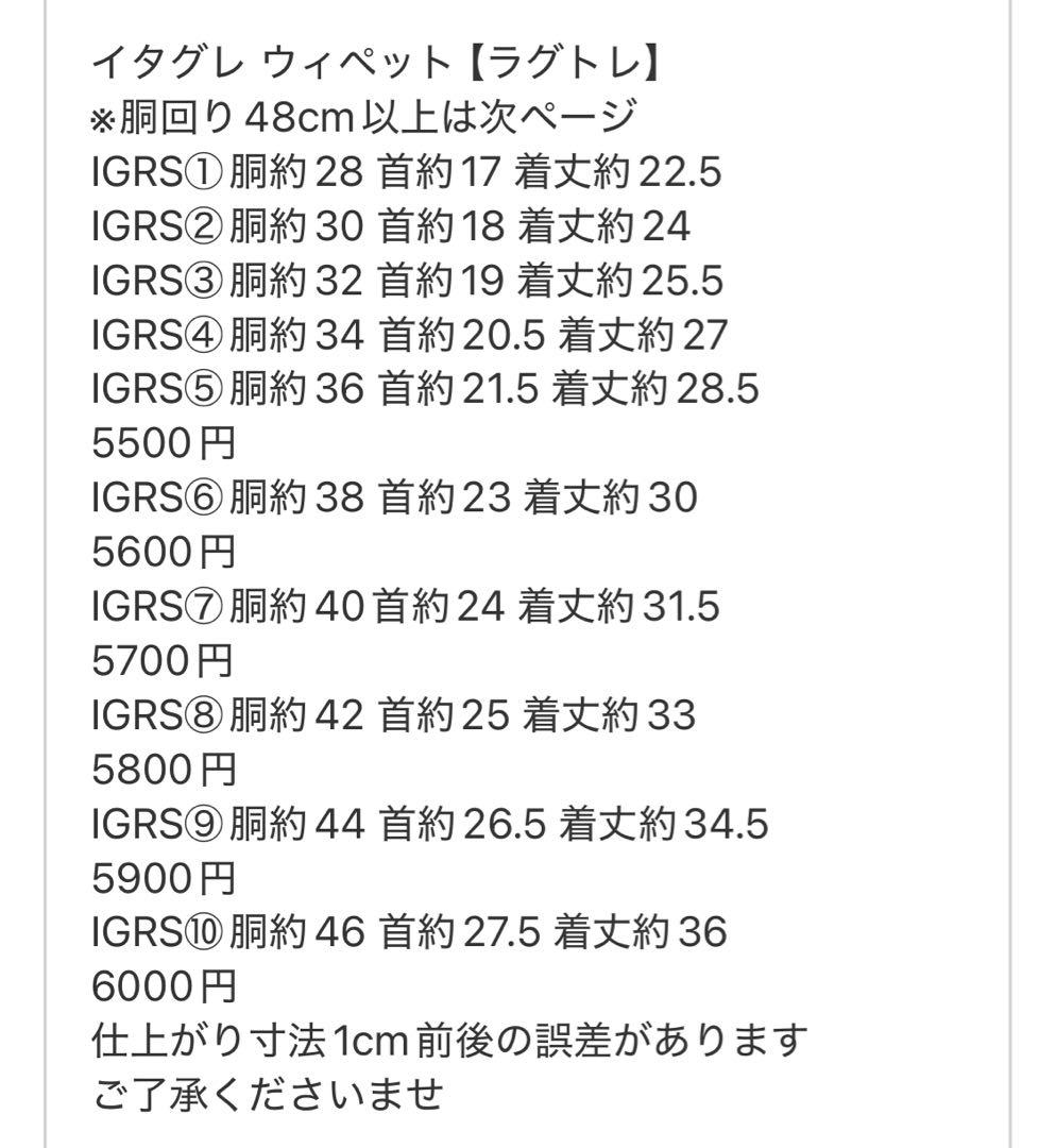 ⑱ボーダーショートスリーブ