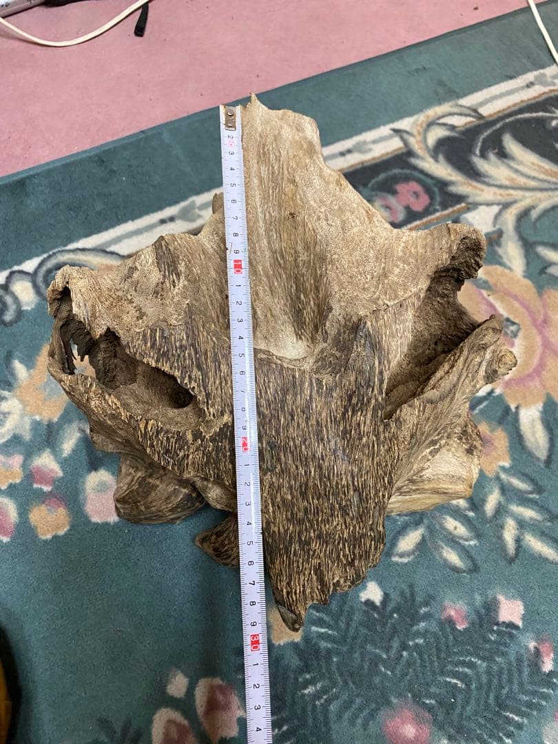 ベトナム産天然香木　希少大型良香沈香約2.9キロg