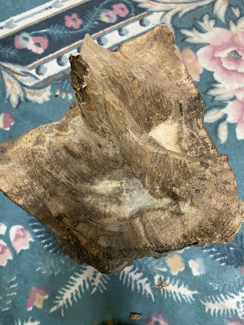 ベトナム産天然香木　希少大型良香沈香約2.9キロg