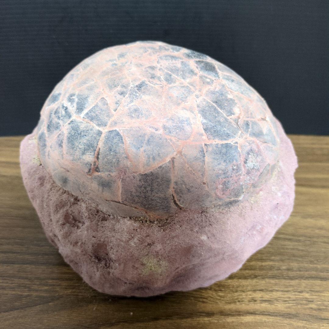 (貴重)　恐竜ハドロサウルスの卵化石　中国　補修あり