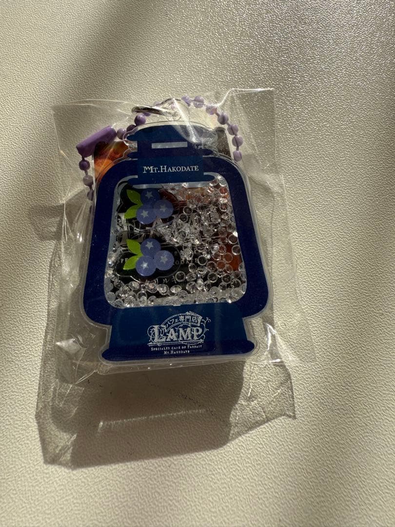 LAMPキーホルダー 箱館山 10種類コンプリート 琵琶湖キーホルダー