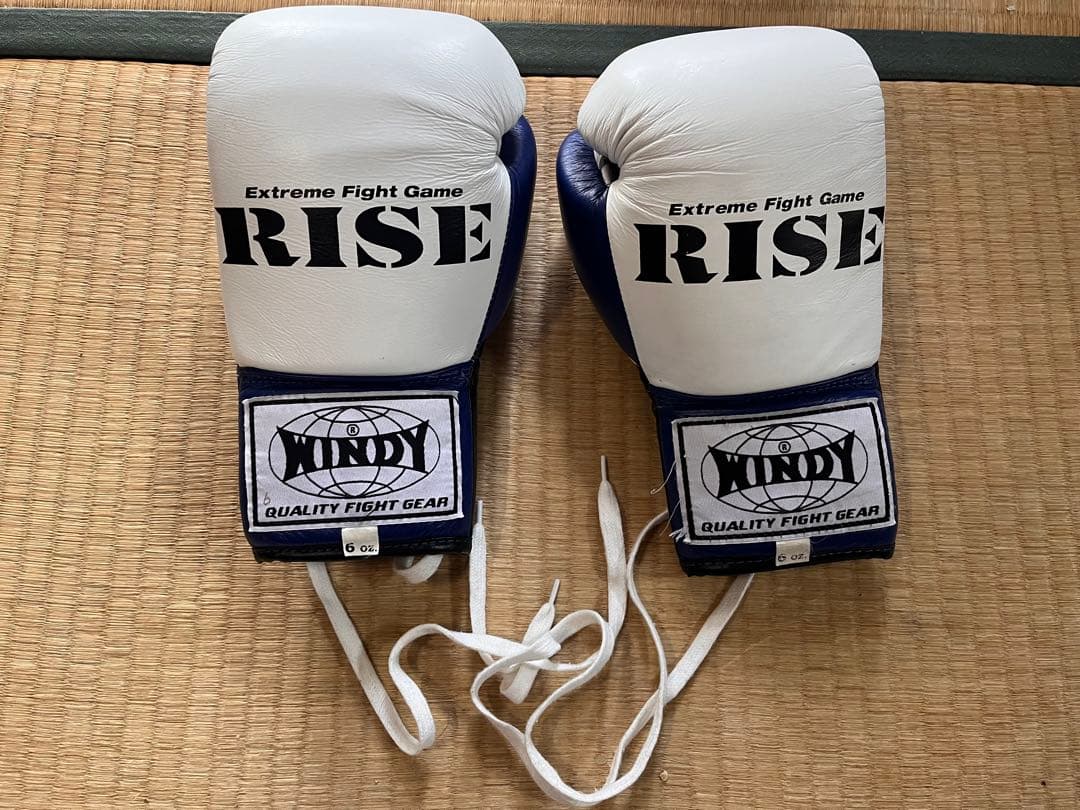 WINDY製RISE公式試合用ボクシンググローブ6oz（青）