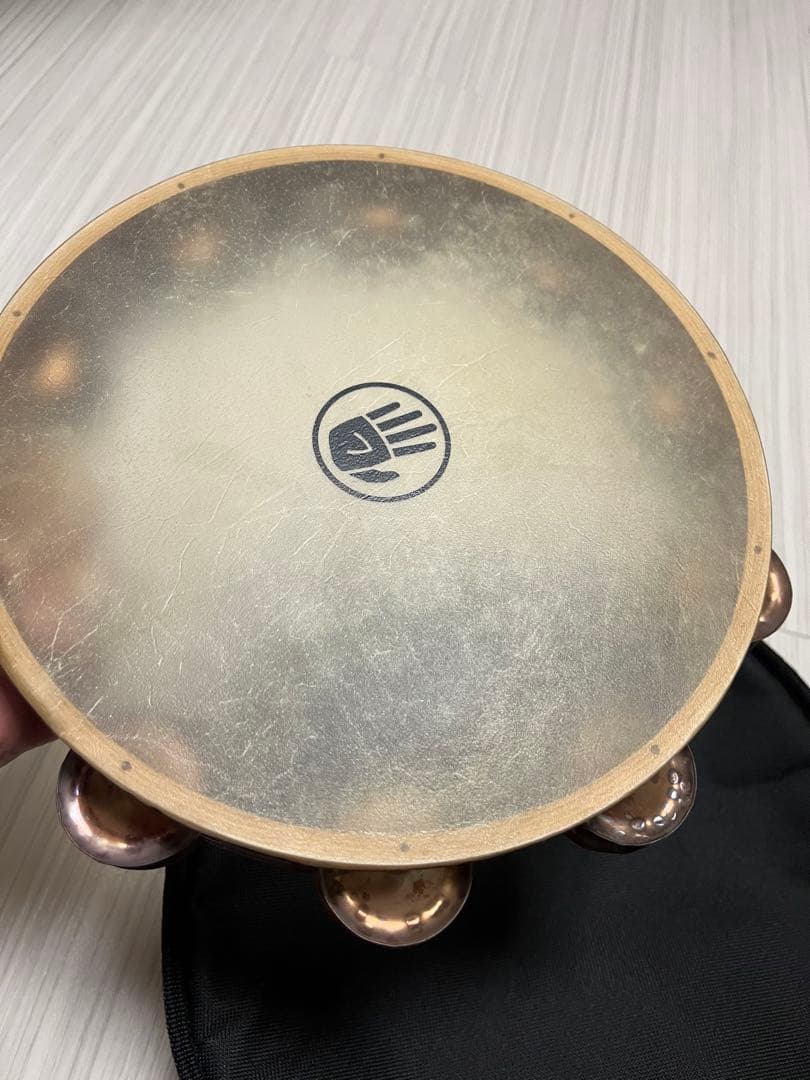 Black Swamp TD1 Chromium 25 タンバリン　ケース付き