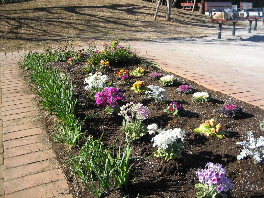 追加あり⭕️【動作確認済】canon IXY Digital 60 PC1158