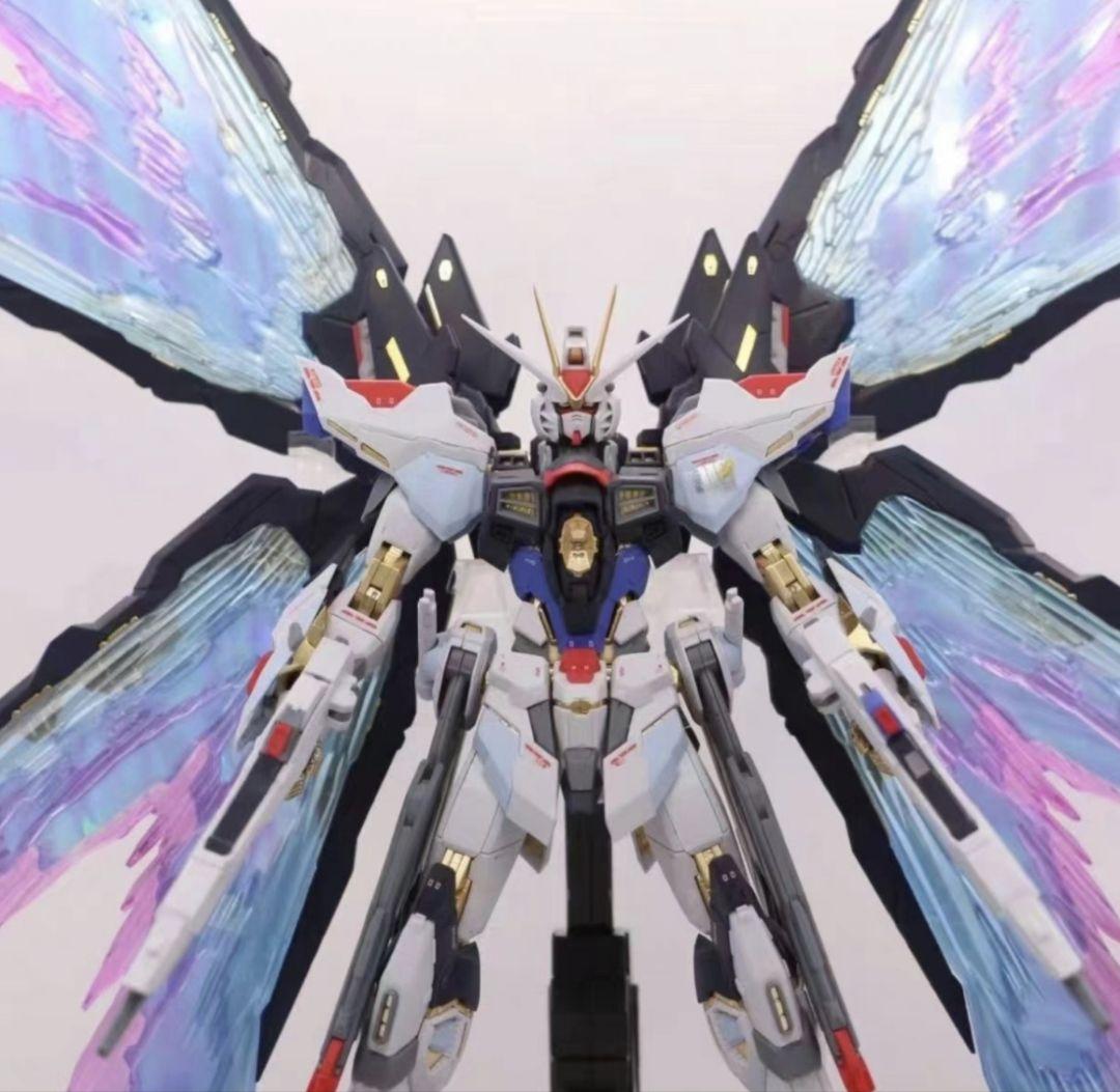 メタルビルド ストライクフリーダム風 プラモデル