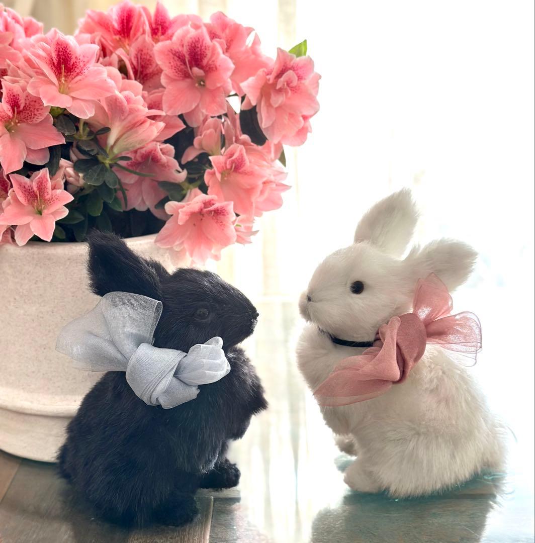 レア★うさぎ　ウサギ　ぬいぐるみ オブジェ 置き物　飾り　ラビット　雑貨