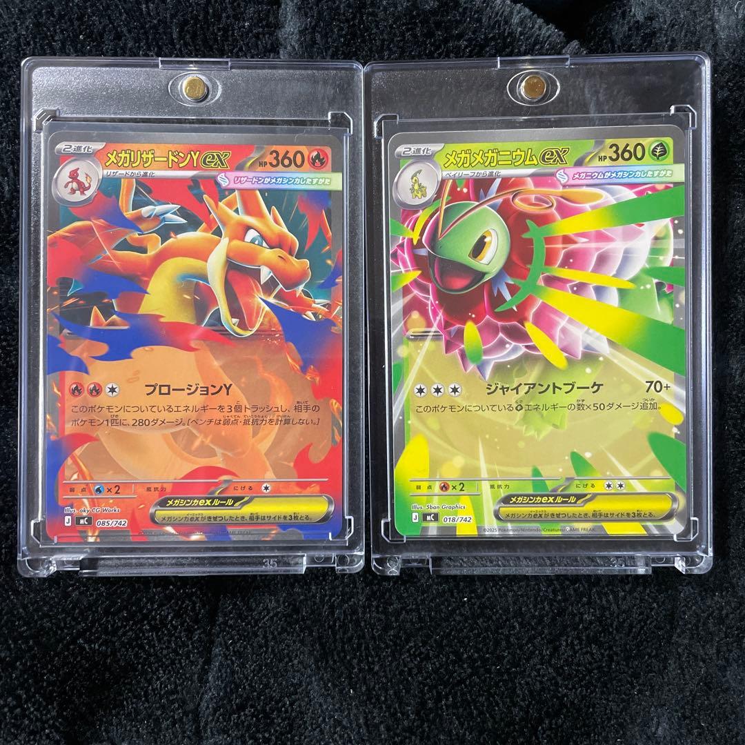 メガリザードンY ex & メガメガニウムex セット