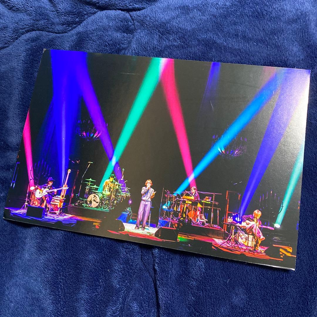 SUPER BEAVER パネル