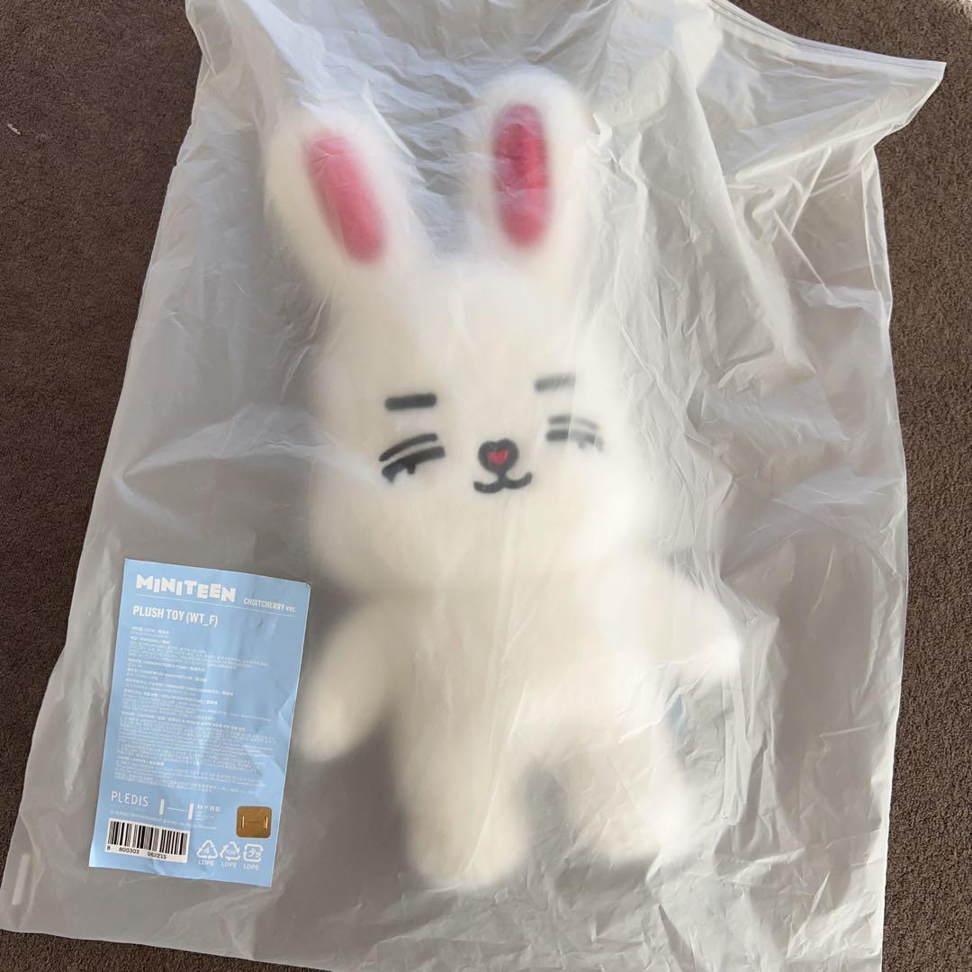 セブチ　ぬいぐるみ miniteen エスクプス　choitcherry