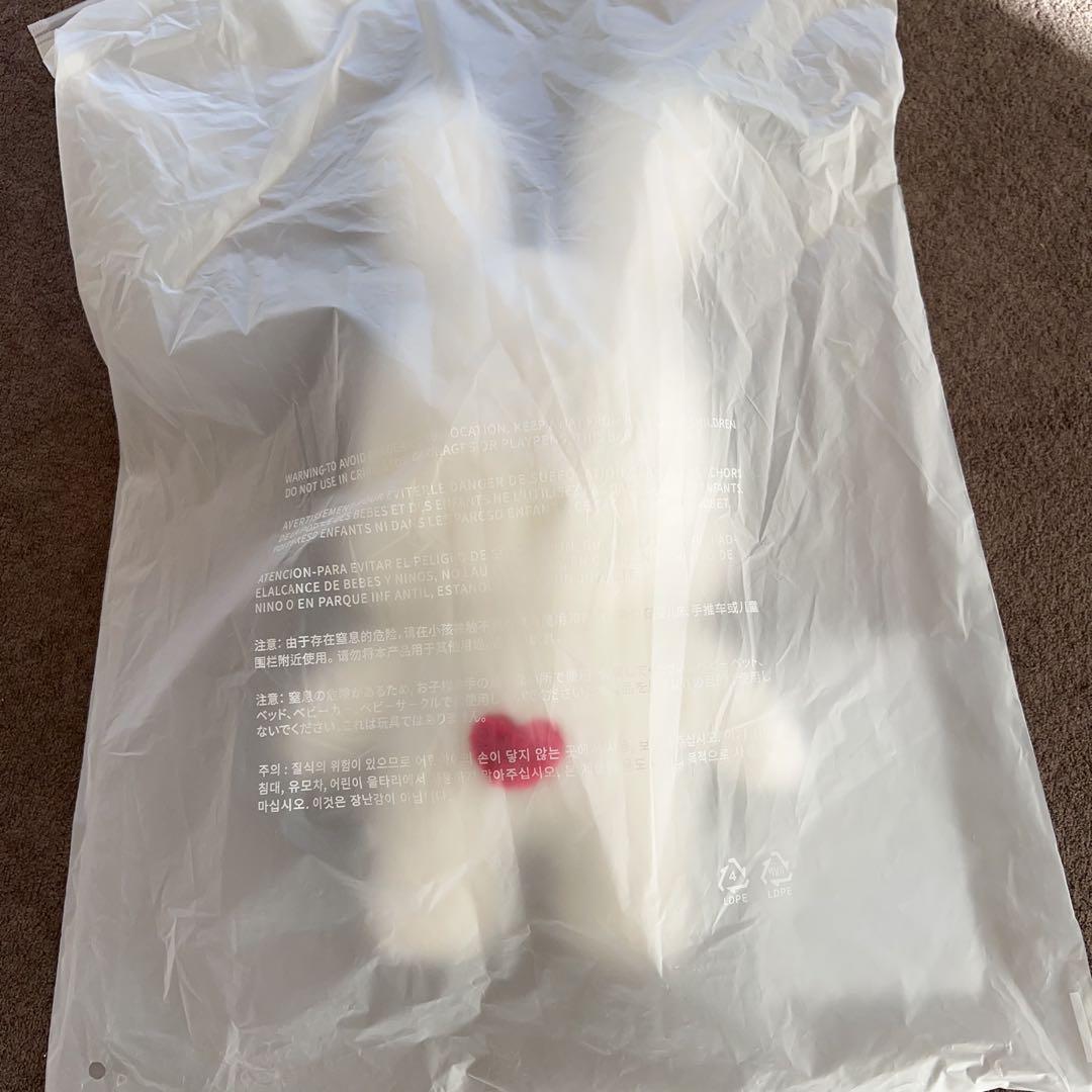 セブチ　ぬいぐるみ miniteen エスクプス　choitcherry