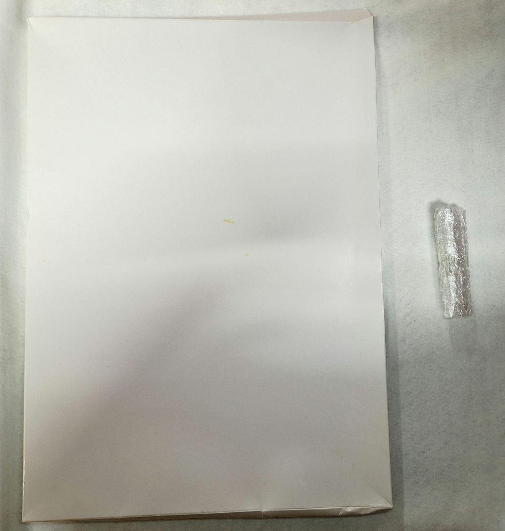 GACKT アクリルパネル