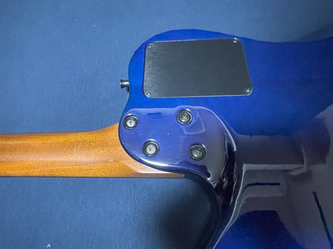 【最終値下げ】Godin Multiac Nylon SA ゴダン エレガット