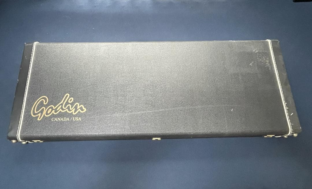 【最終値下げ】Godin Multiac Nylon SA ゴダン エレガット