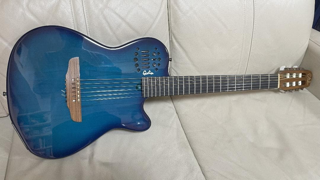【最終値下げ】Godin Multiac Nylon SA ゴダン エレガット