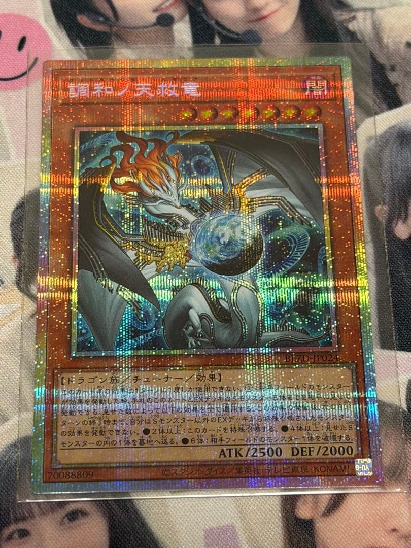 調和の天救竜 プリシク