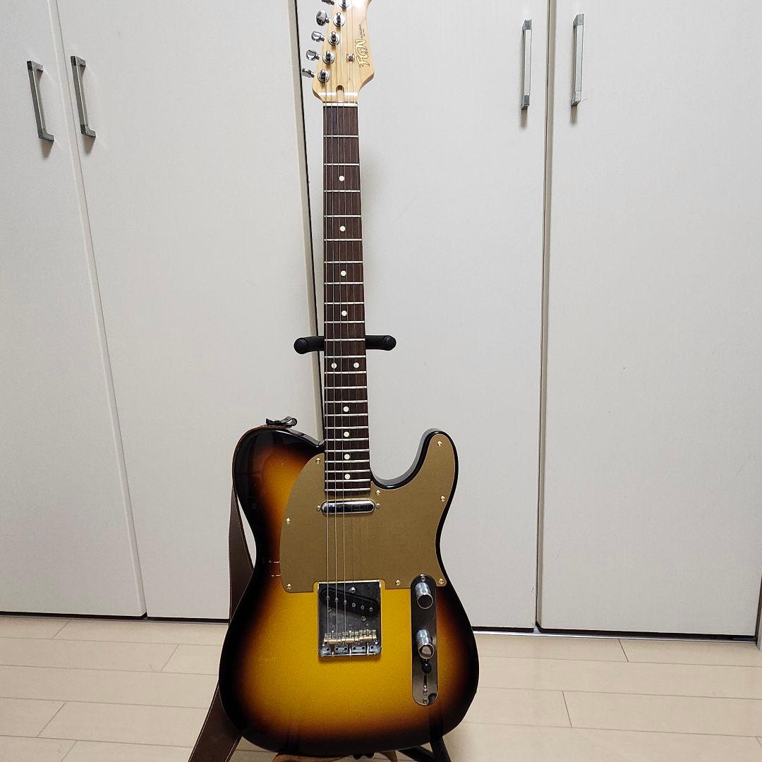 FUJIGEN(FGN) テレキャスターKNTE10RBD モデファイ