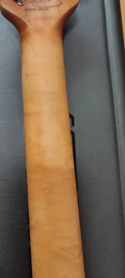 ギター PEAVEY EVH Wolfgang USA