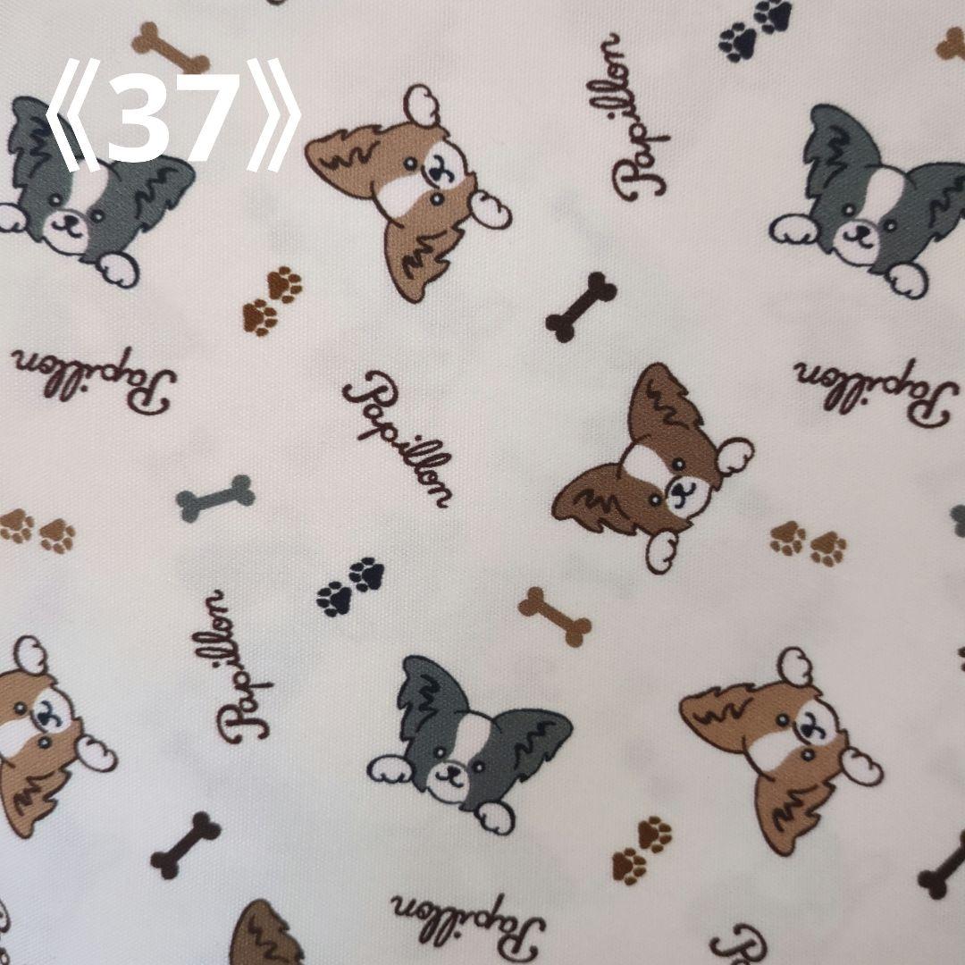 パピヨン犬デザイン マナーベルト用生地