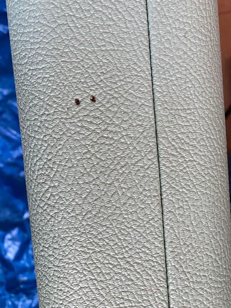 ギター Fender Parallel Universe II Uptown Strat