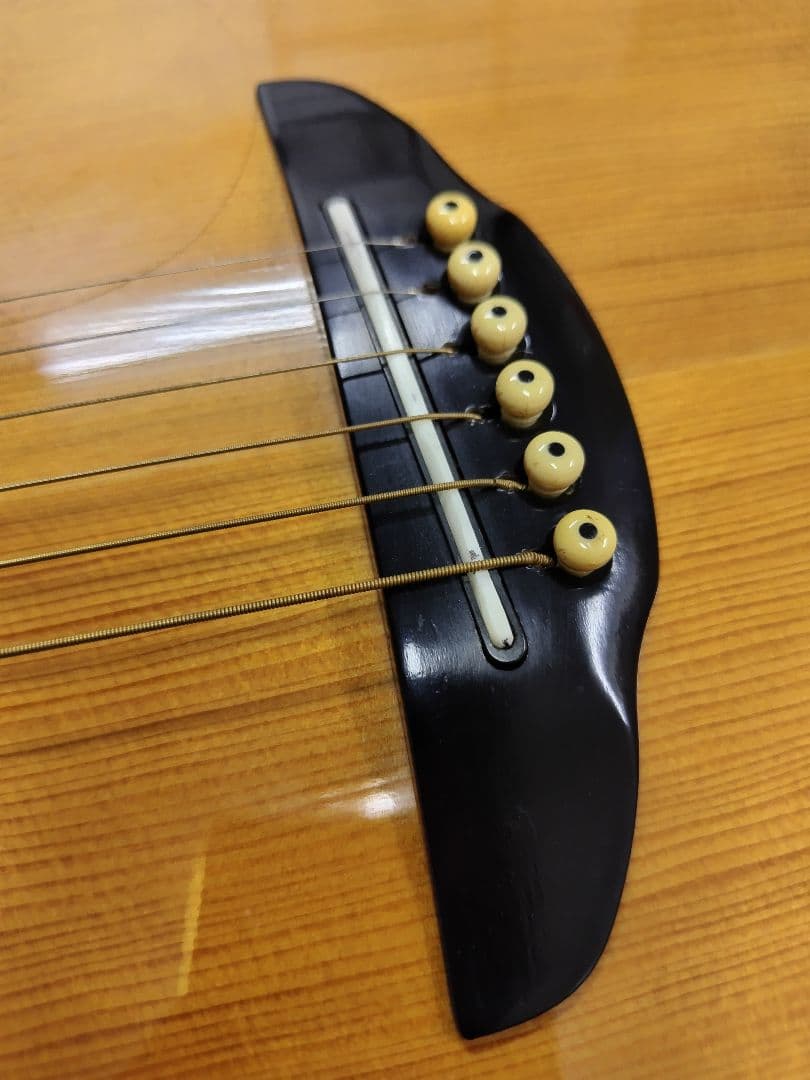 YAMAHA APX20TS アコースティック(エレアコ)ギター,ハードケース付