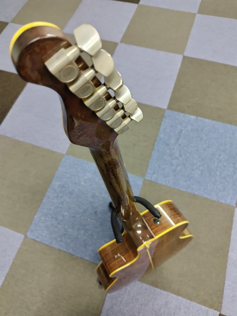 YAMAHA APX20TS アコースティック(エレアコ)ギター,ハードケース付