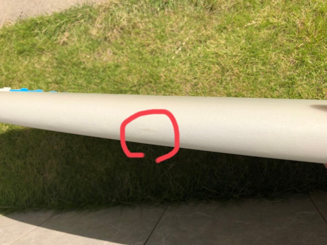 Chilli RAREBIRD   チリ　レアバード