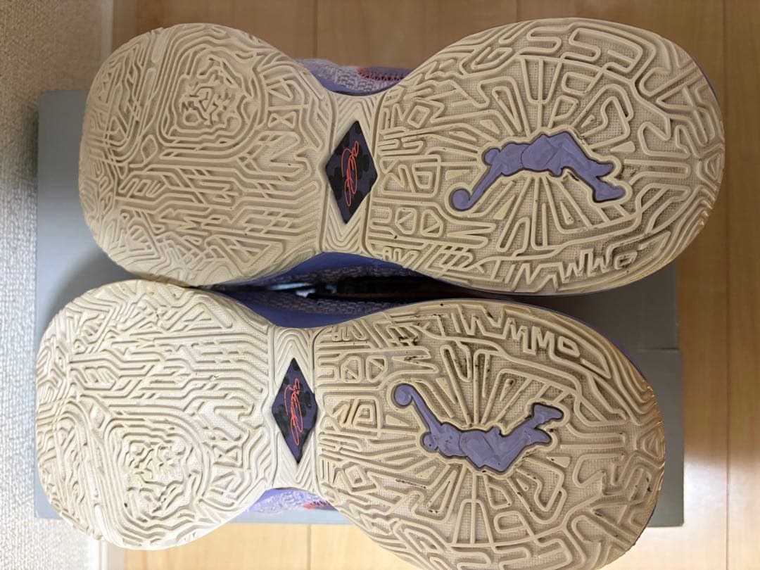 [値下げ]Nike バスケットボールシューズ レブロン20 パープル