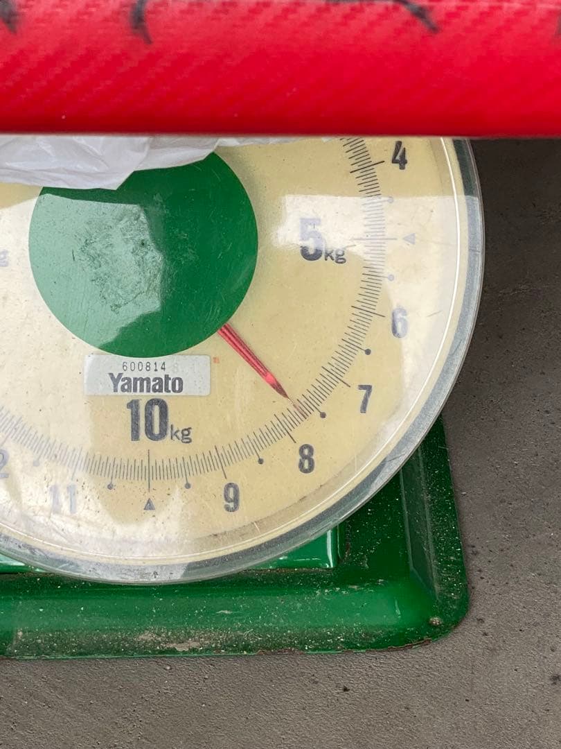 SUP カスタム ロングボードタイプ8.8 100L