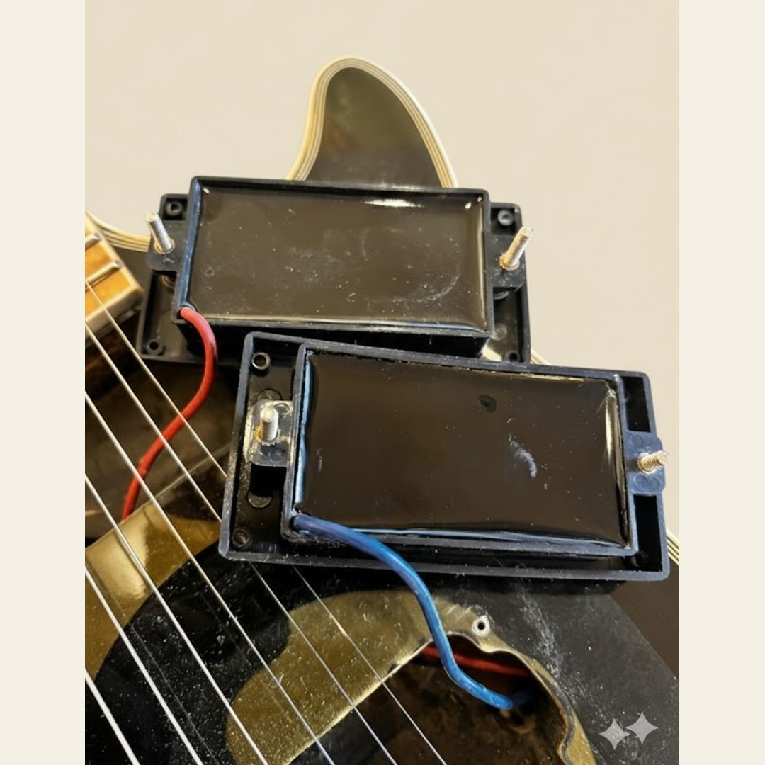 “Zakk Wyldeスタイル” カモフラージュ仕様 電装フルリフレッシュ済