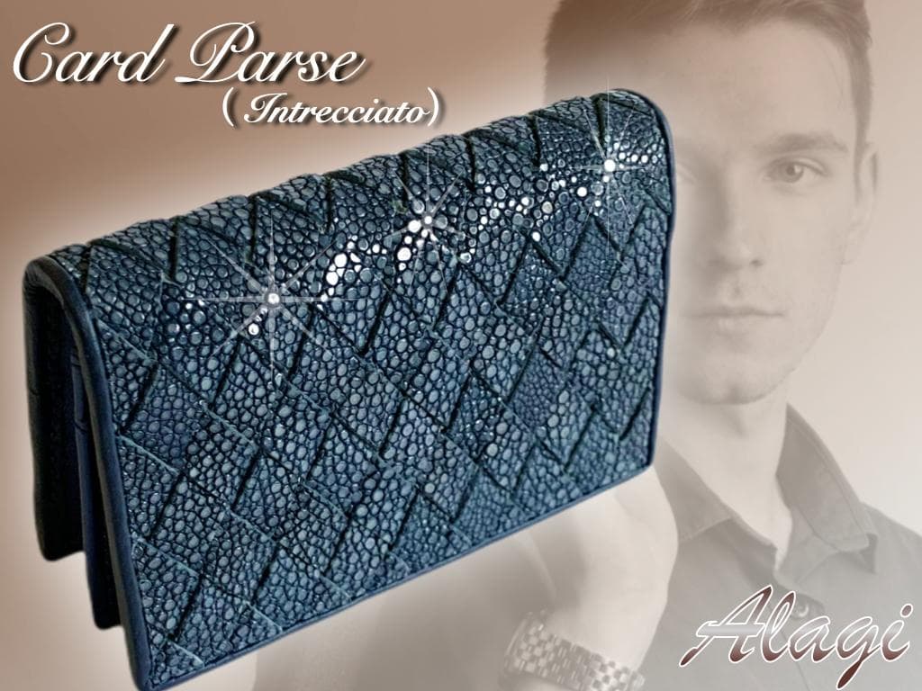 ☆ぺん☆ガルーシャ　名刺入れ　イントレチャート加工　2点セット