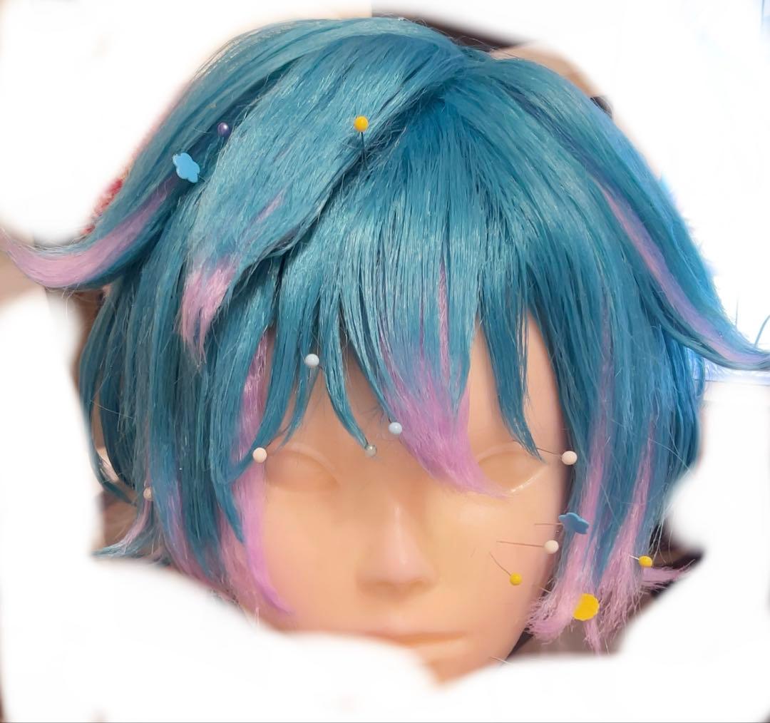 カリスマ コスプレ 湊大瀬 ウィッグ