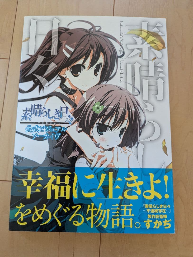 素晴らしき日々～不連続存在～公式ビジュアルアーカイヴ　ケロQ