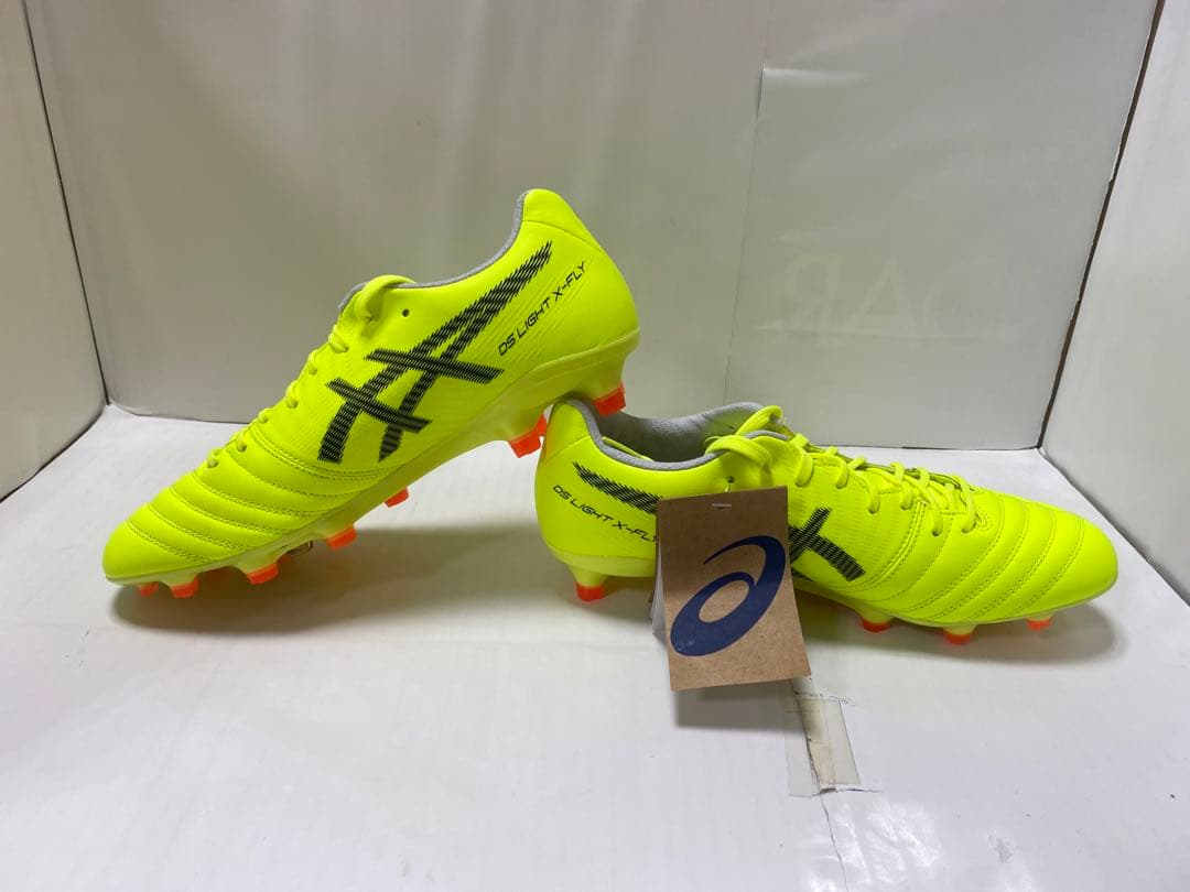 シューズ DS LIGHT X-FLY PRO2 PARIS