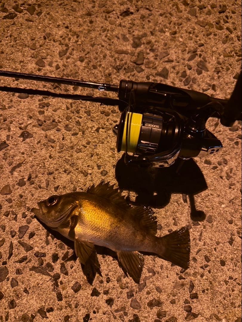 アジングタックル