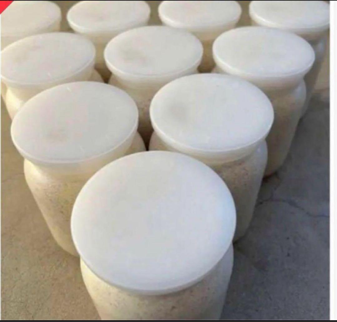 カワラ菌糸ビン 1100 36本