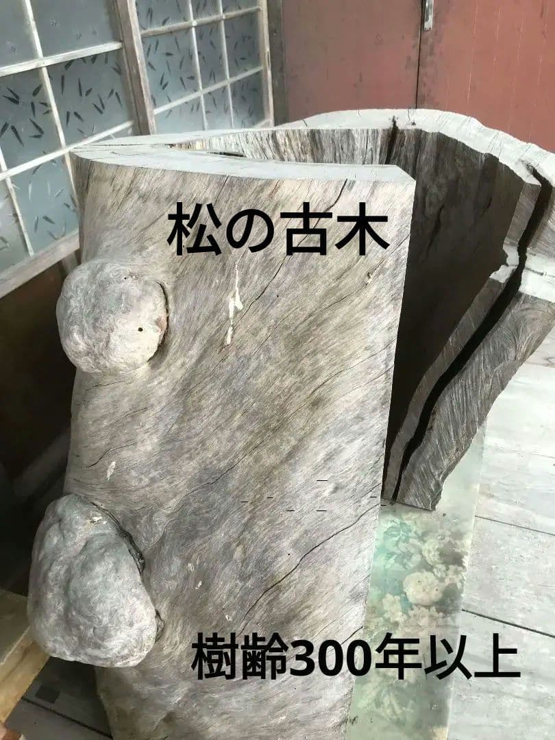 兵庫西部　超超希少　松の古木　アンティーク
