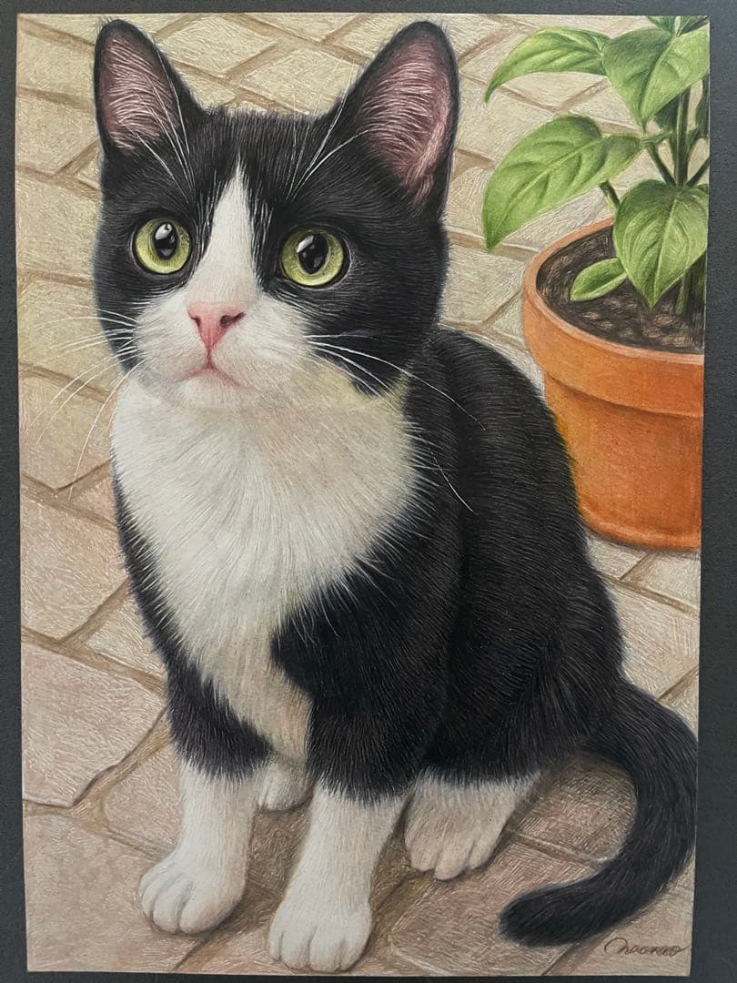 色鉛筆画 A4 ハチワレ猫127