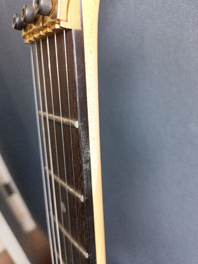 Chatting Bird CAD-630 エレキギター 青緑