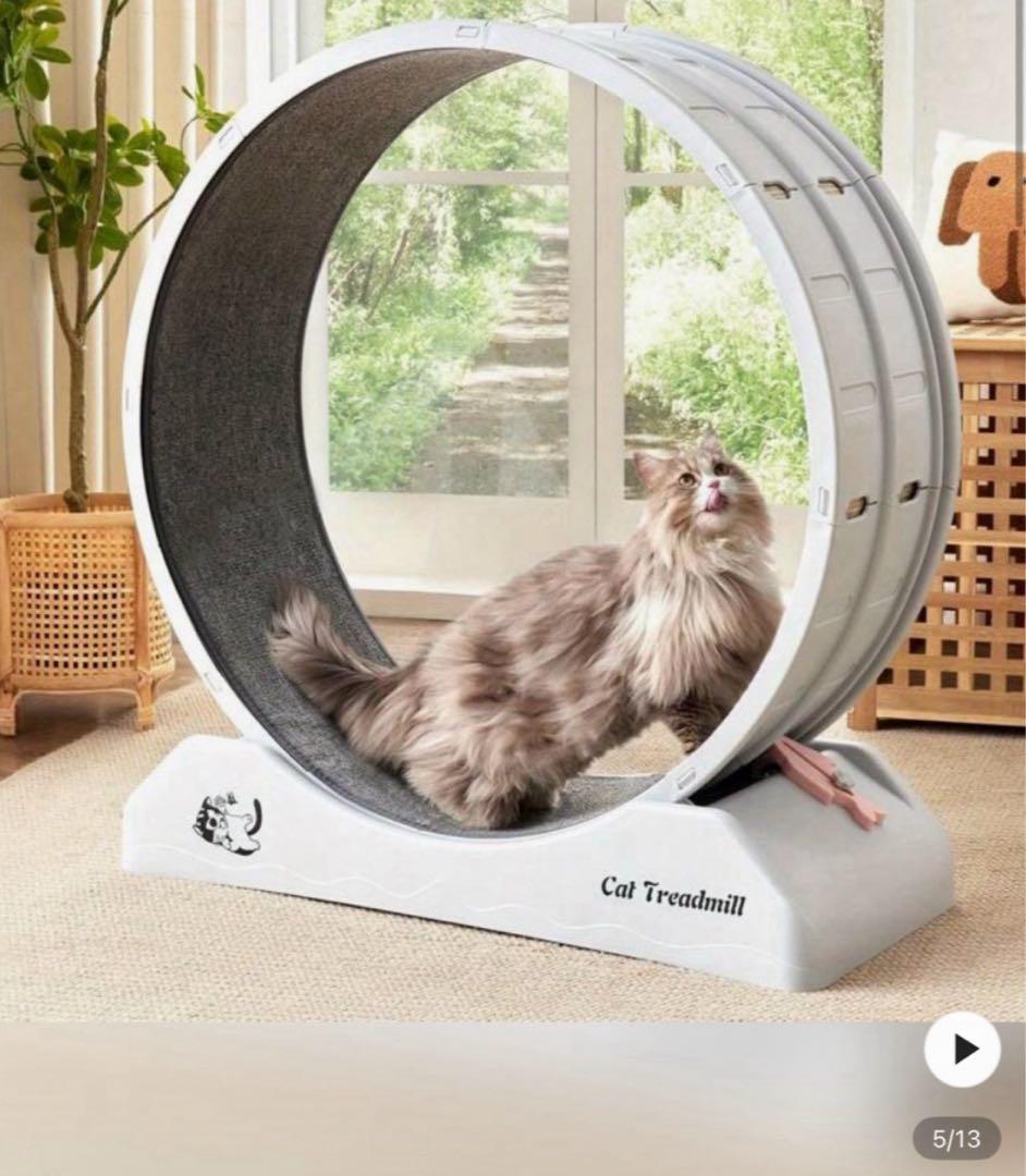 新品　未開封　ペット用　ランニングホイール