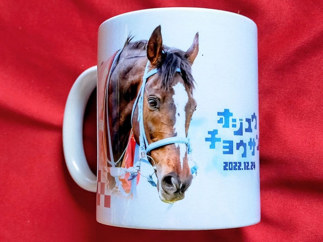 ◆　競馬　JRA　◆　オジュウチョウサン　◆革キーホルダー他◆グッズ４種セット◆