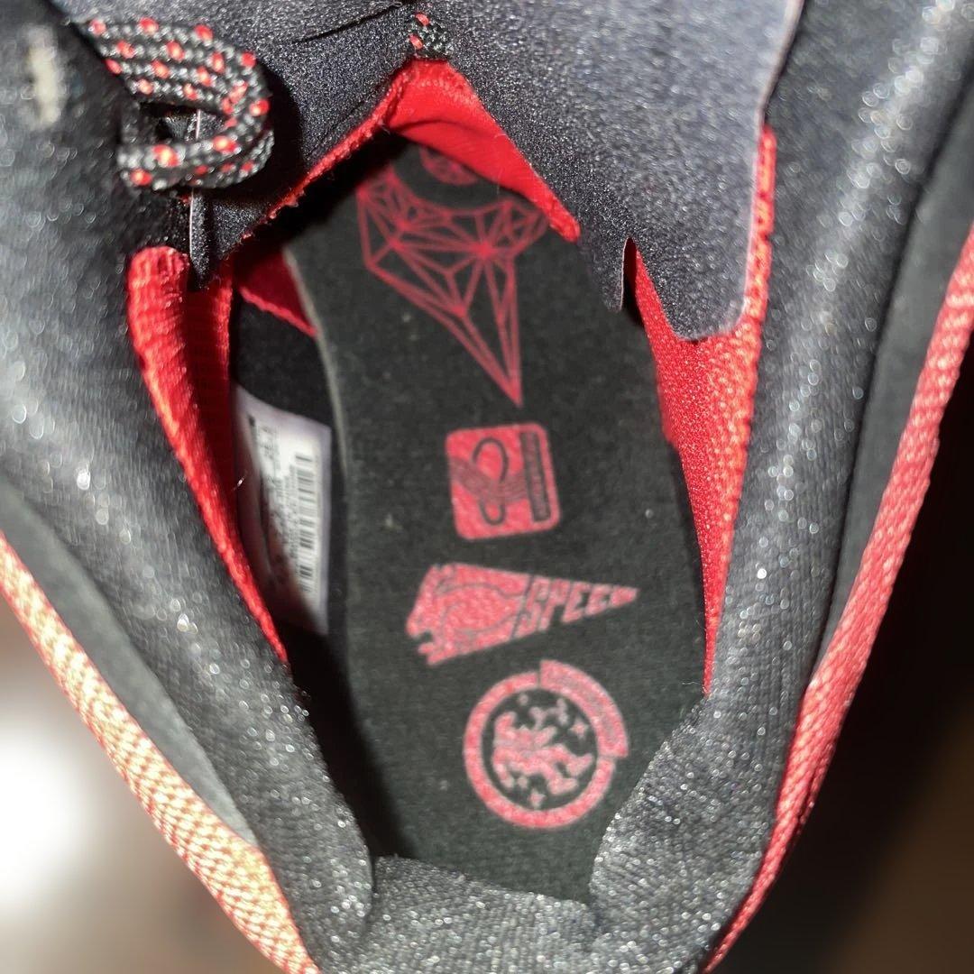 【希少モデル】NIKE HYPERDUNK バスケットシューズ　26.5㎝