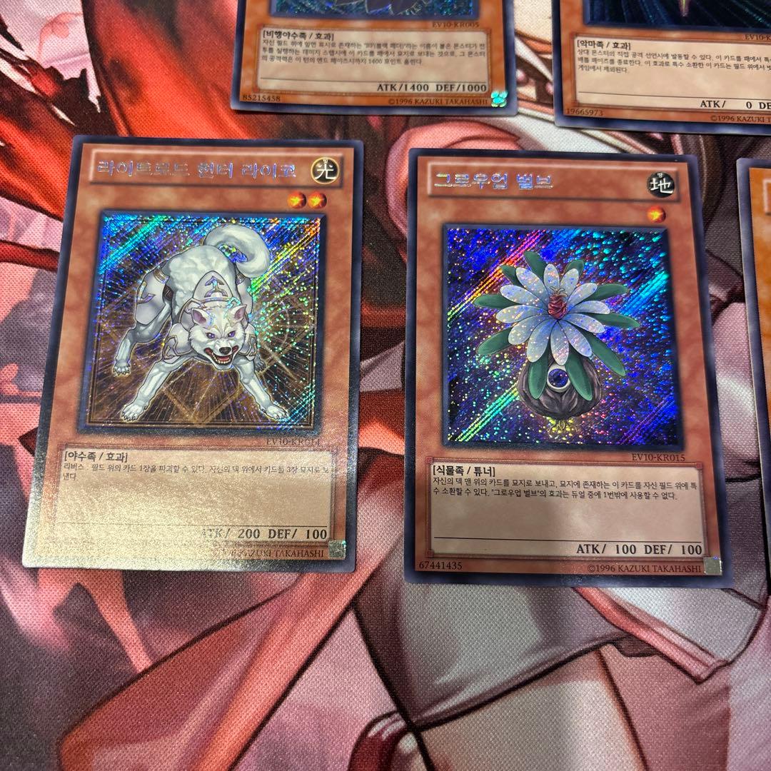 遊戯王　カード　韓国版　EV10 コレクション