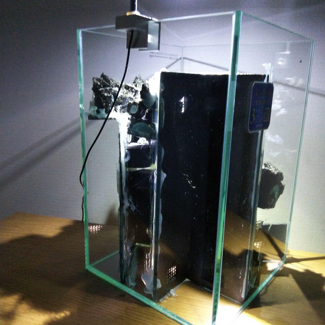 【完成品】滝の流れるアクアテラリウム　イモリウム　苔　　アクアテラリウム完成品