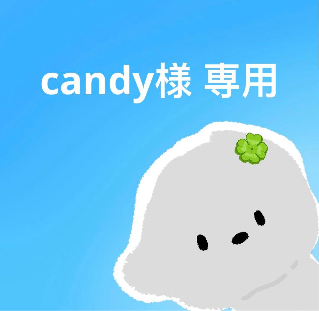candy 翌日出荷