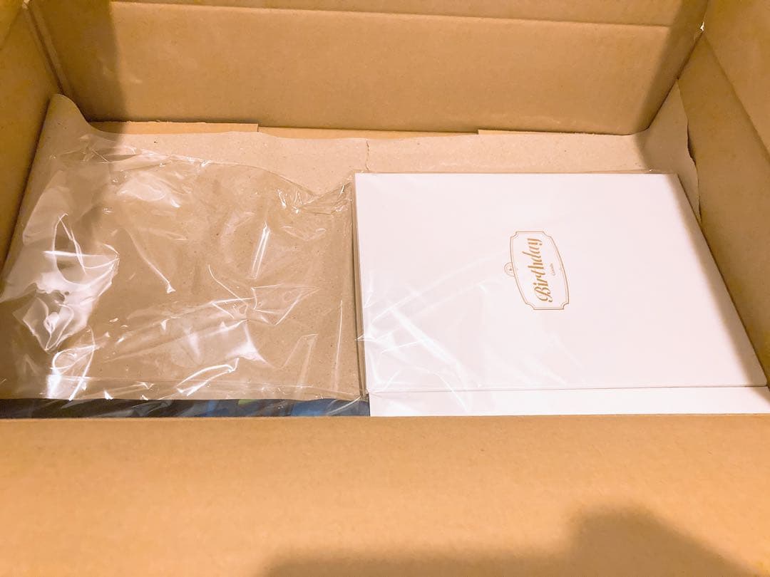 獅子堂あかり 誕生日 全力お祝いセット 2025 にじさんじ 缶バッジ