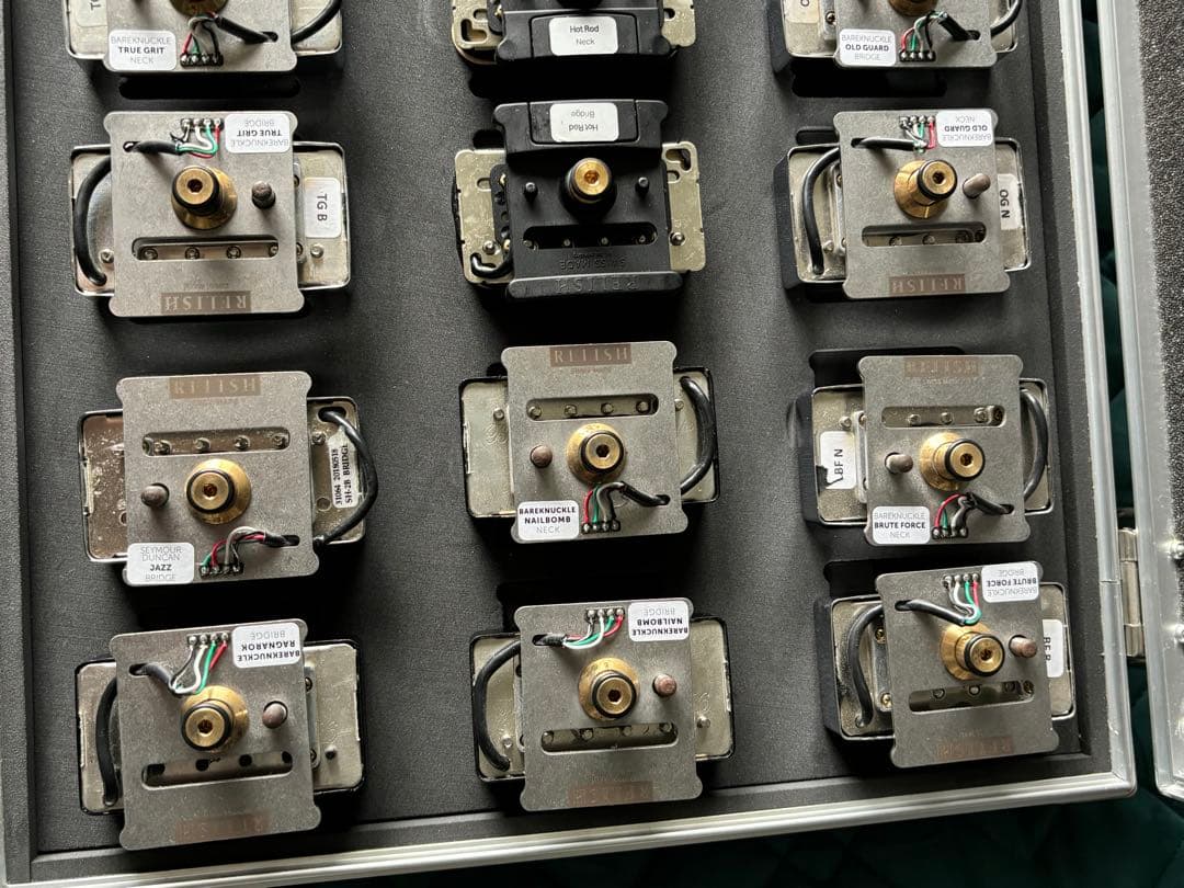 RelishGuitarsFLAMDJANEワンタッチ交換用PU 9組付