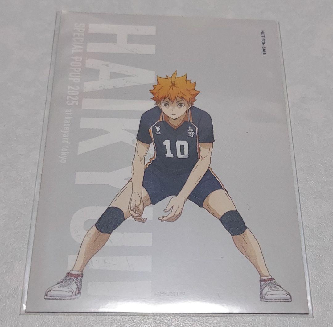 ハイキュー セット